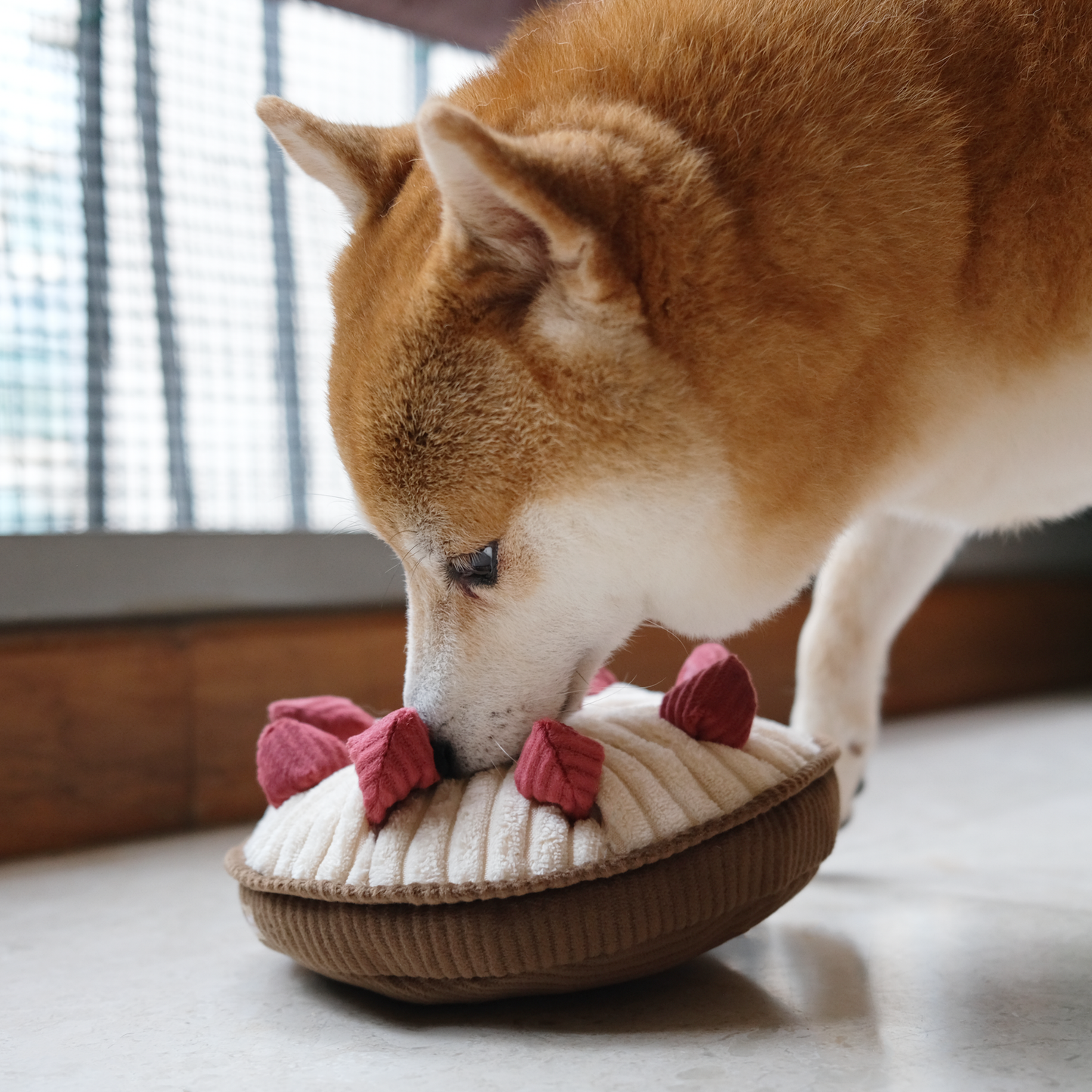 JOUET POUR CHIEN EN FORME DE TARTE AUX BAIES