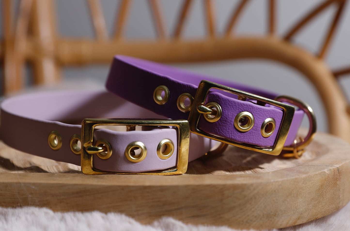 Collier Biothane - Différents coloris
