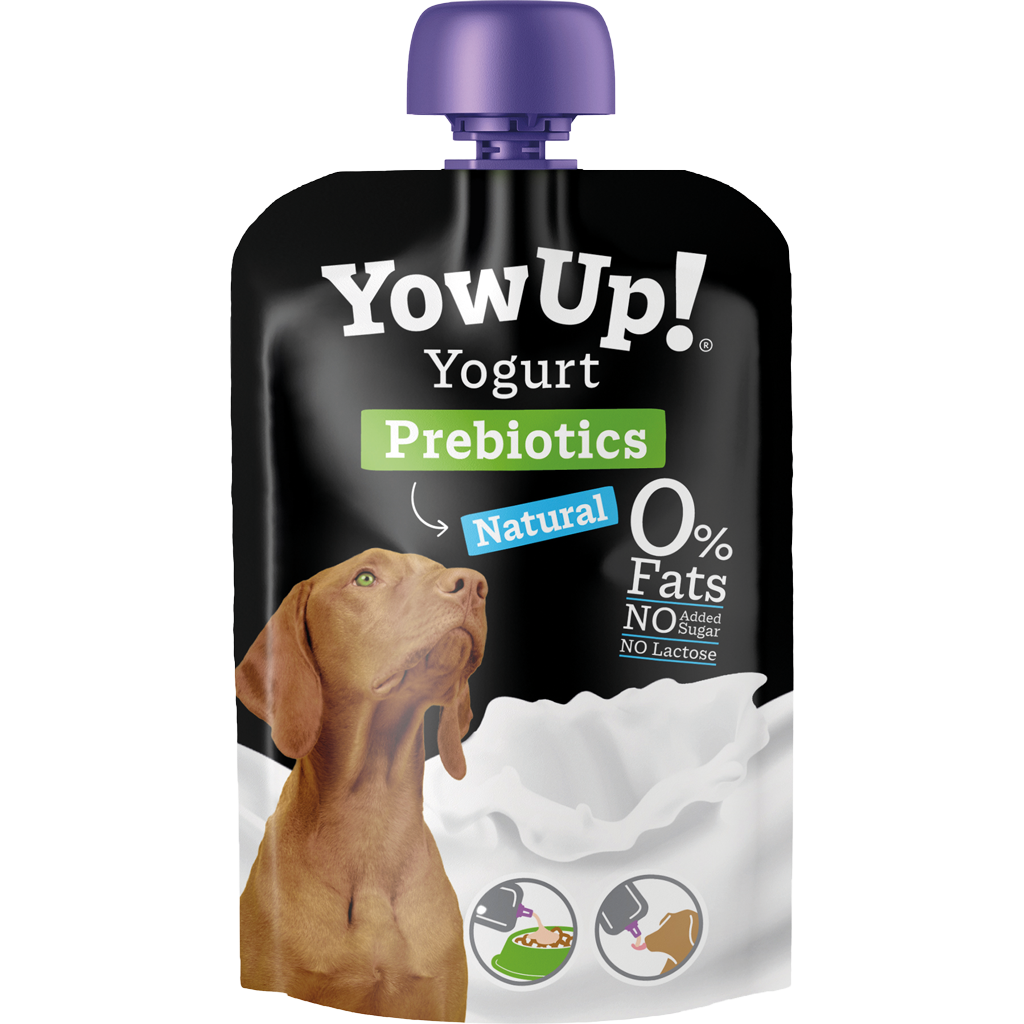 YowUp! Yaourt naturel pour chiens avec prébiotiques