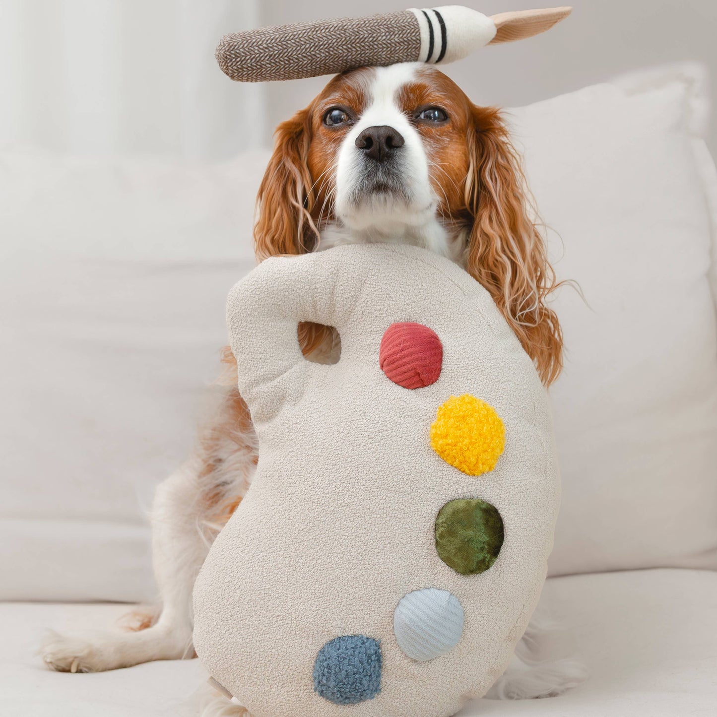 Ensemble Palette de Couleurs – Jouet d’enrichissement pour chien