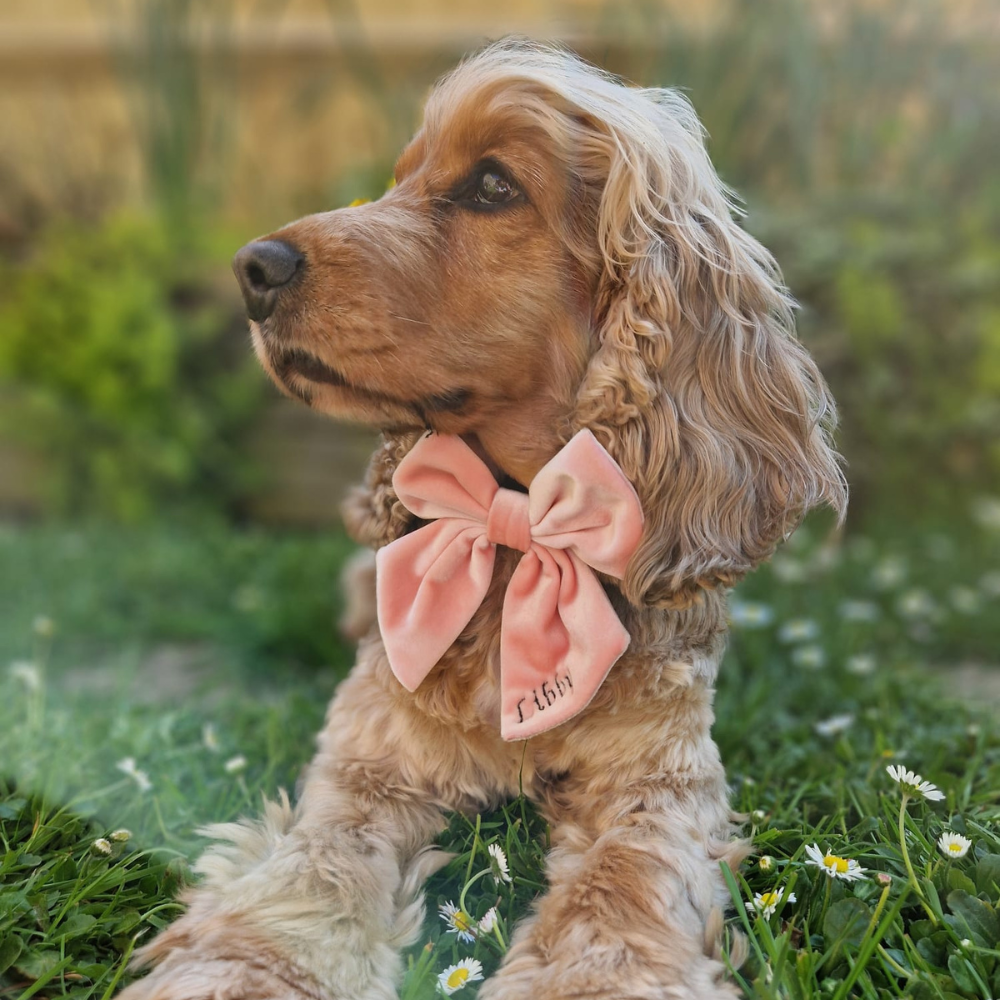 Nœud papillon marin en velours de luxe - Rose bébé