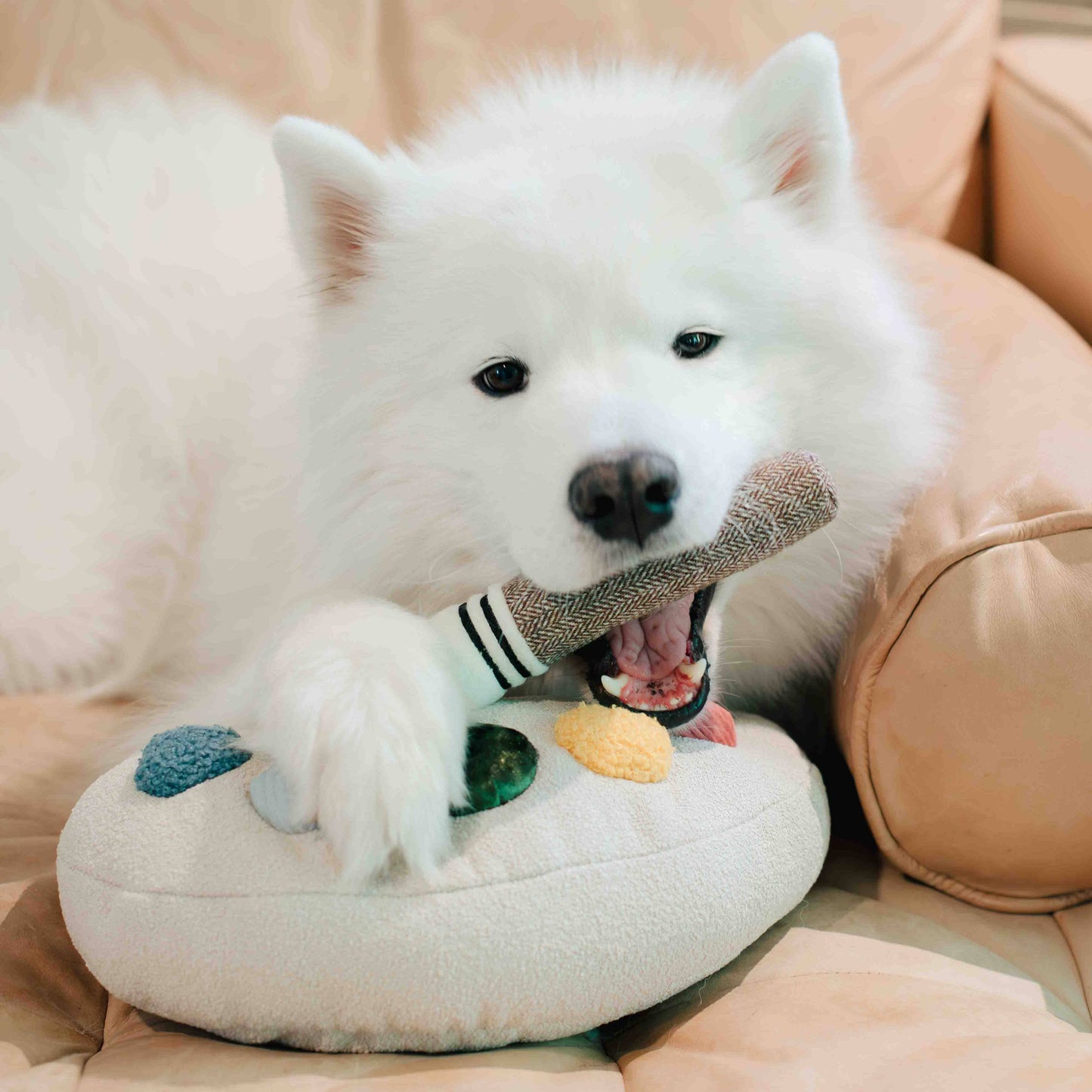 Ensemble Palette de Couleurs – Jouet d’enrichissement pour chien