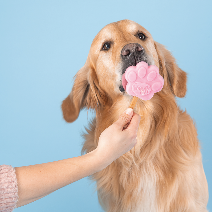 Mélange fraise pour glace à chien
