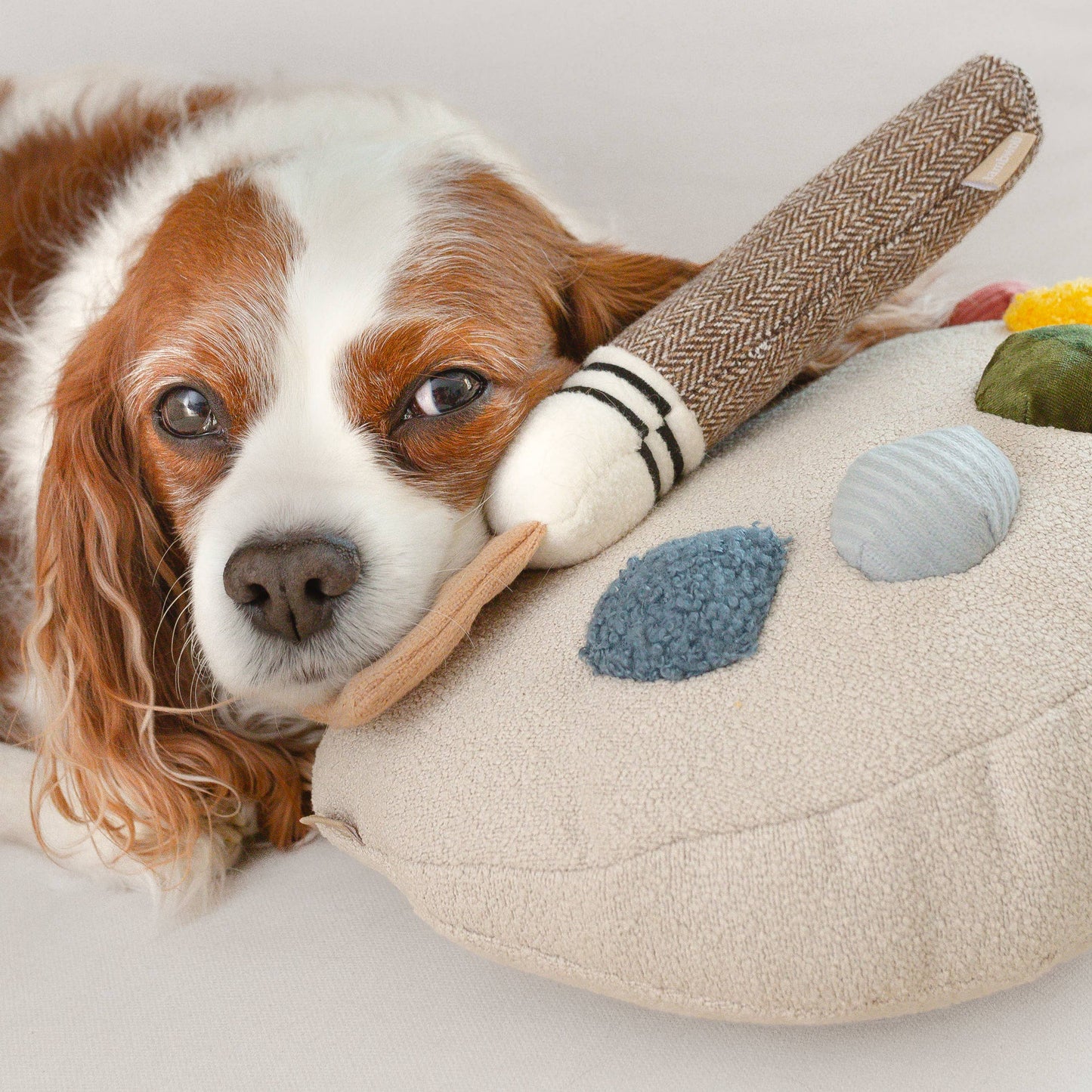 Ensemble Palette de Couleurs – Jouet d’enrichissement pour chien