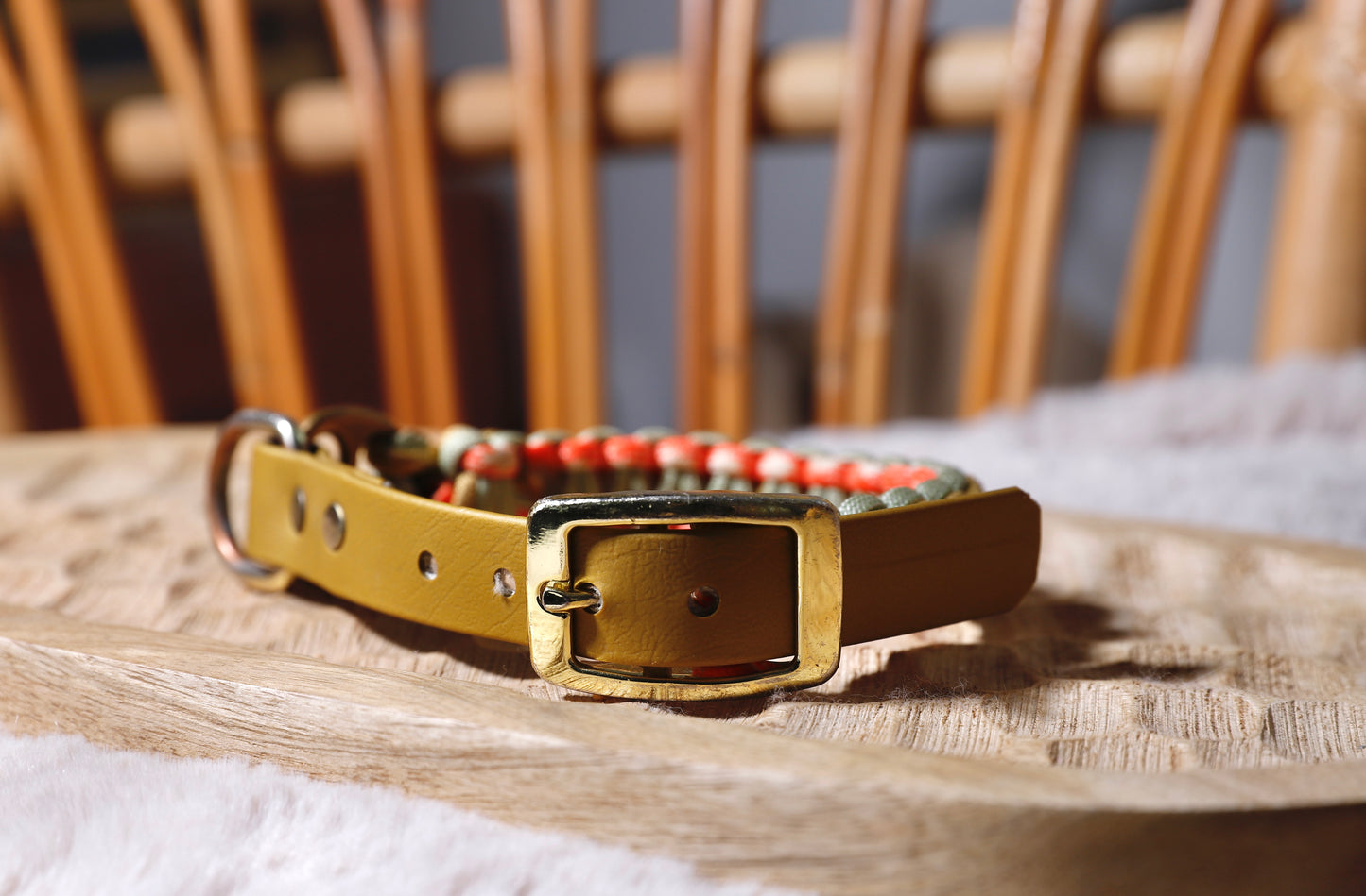 Collier biothane-paracorde