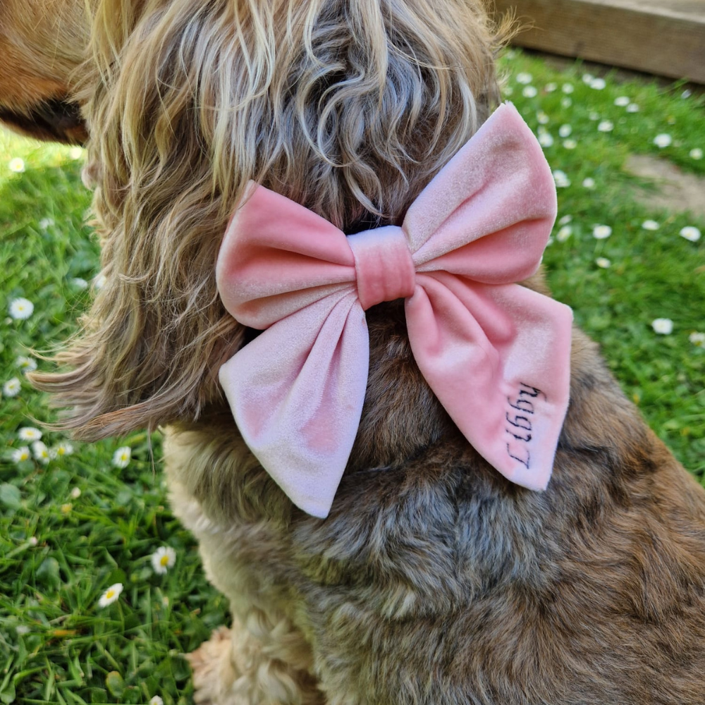 Nœud papillon marin en velours de luxe - Rose bébé