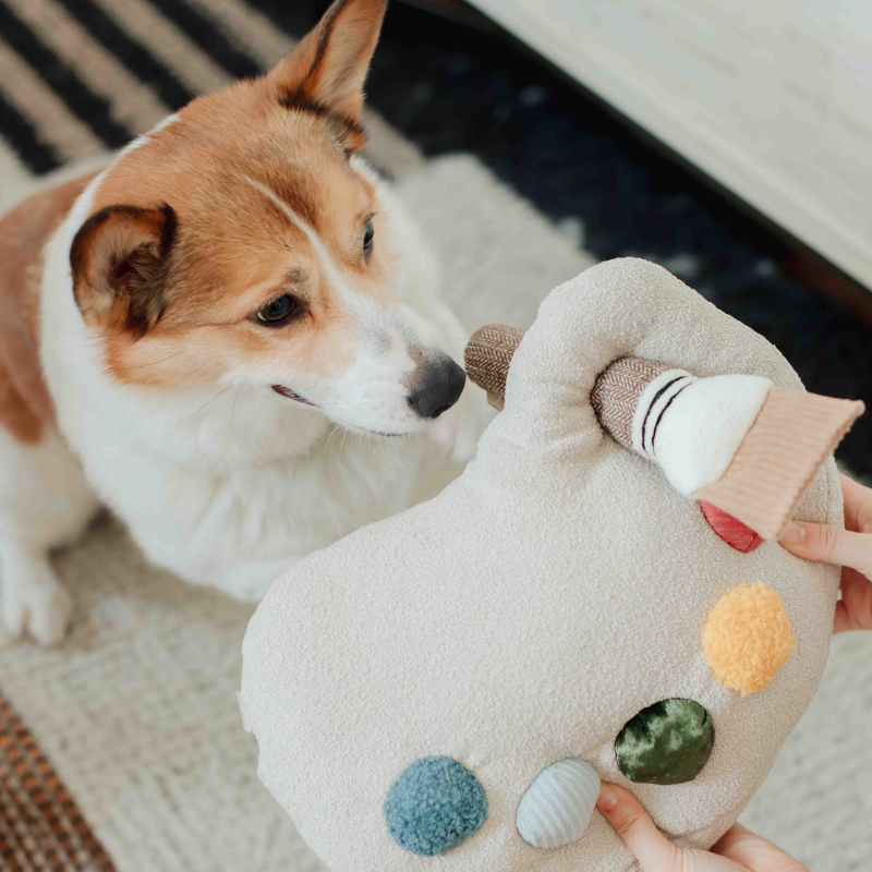 Ensemble Palette de Couleurs – Jouet d’enrichissement pour chien