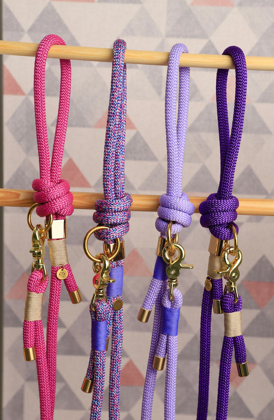 Laisse Violette