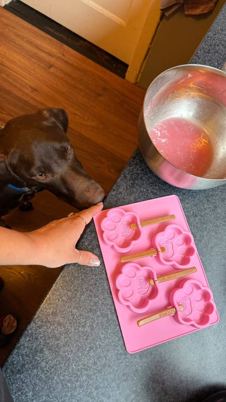 Mélange fraise pour glace à chien