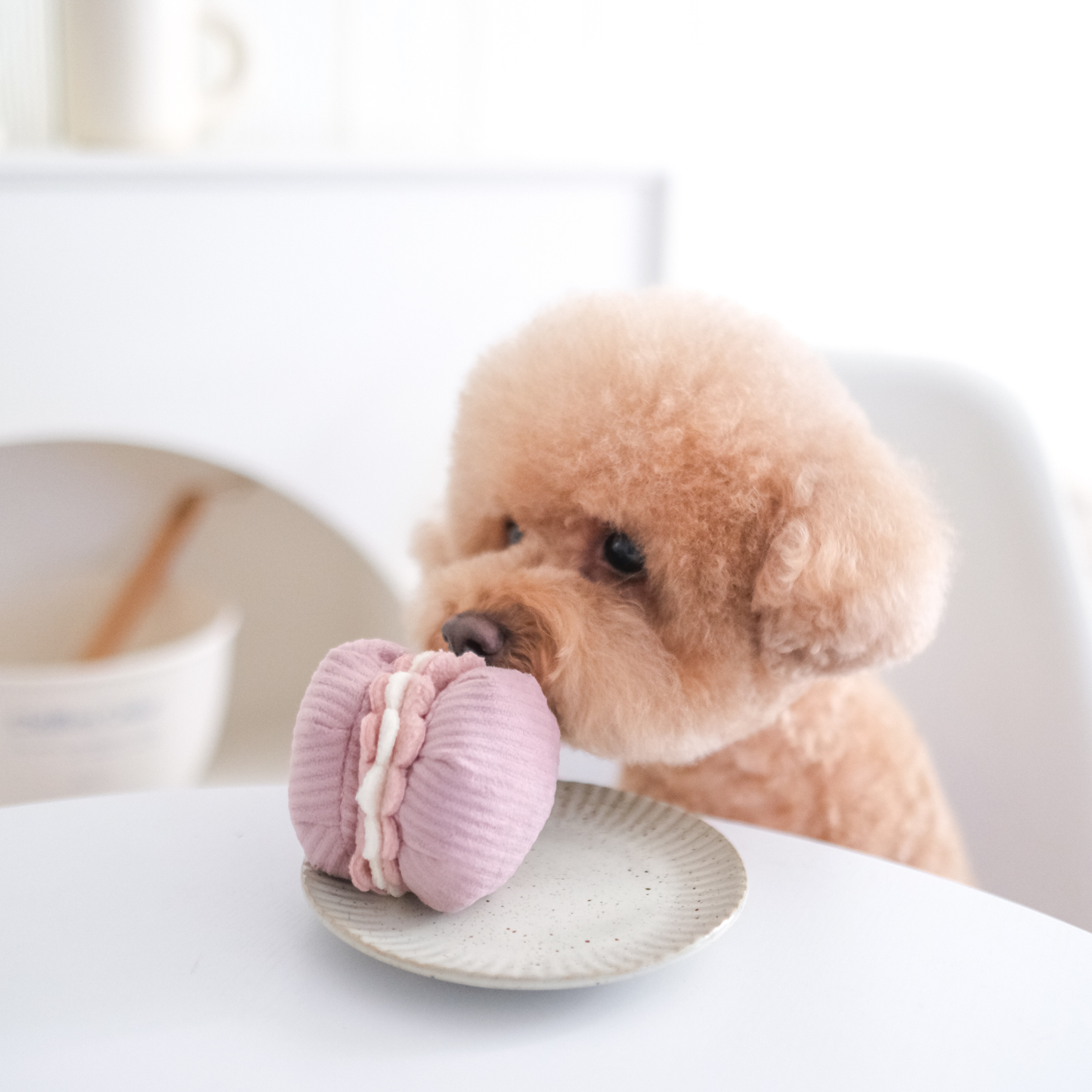 JOUET POUR CHIEN PETITE TWO/ENRICHMENT