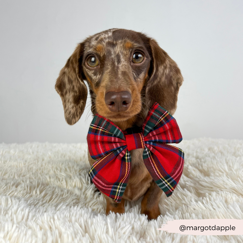 Nœud papillon Tartan Sailor