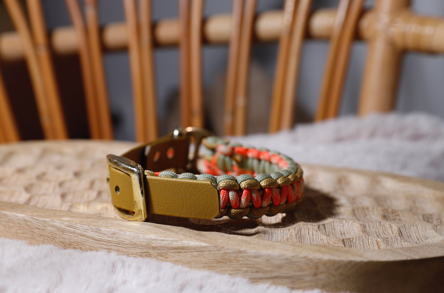 Collier biothane-paracorde