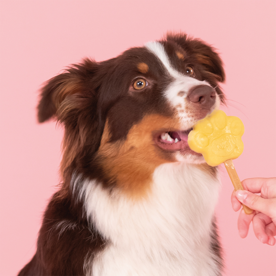 Moule moyen en silicone pour glace à chien