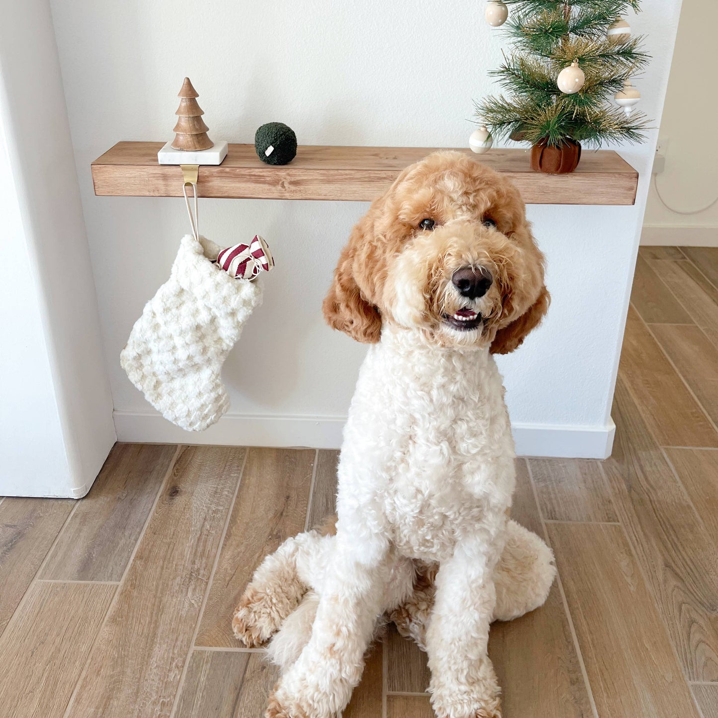 CHAUSSETTE DE NOEL