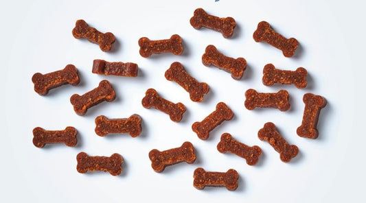 Mini Os de Saumon