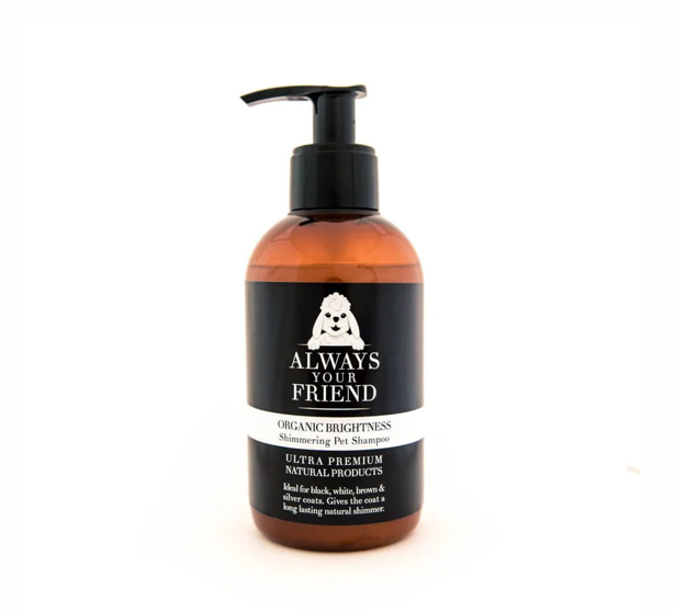 Shampoing Brillance Eclatante