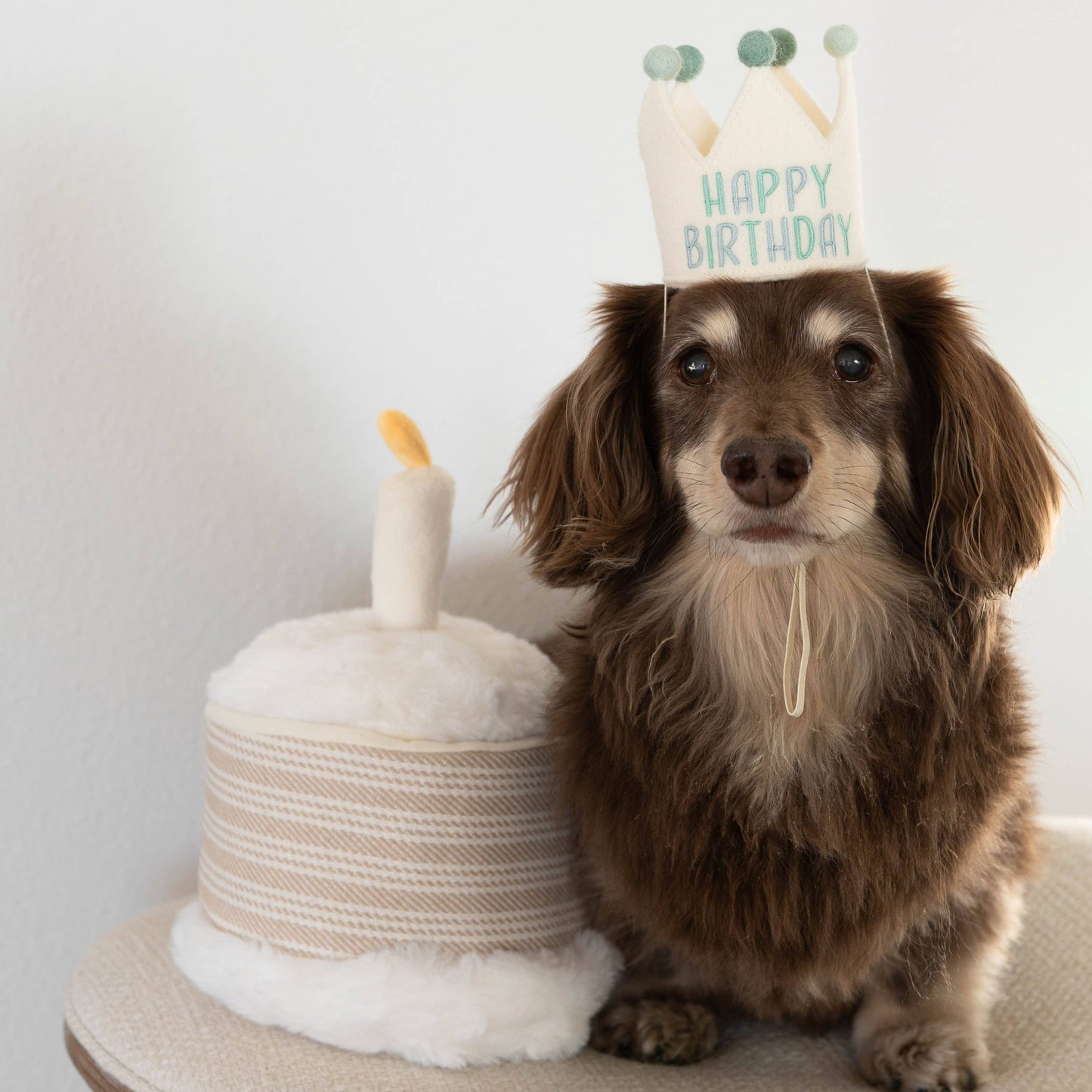 Gâteau d'anniversaire // Jouet à creuser