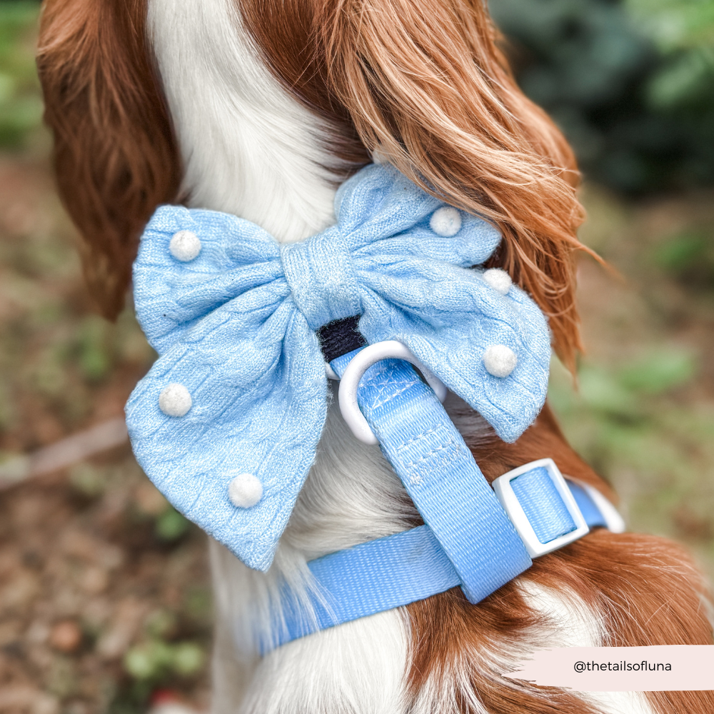 Nœud papillon marin Snowpaws