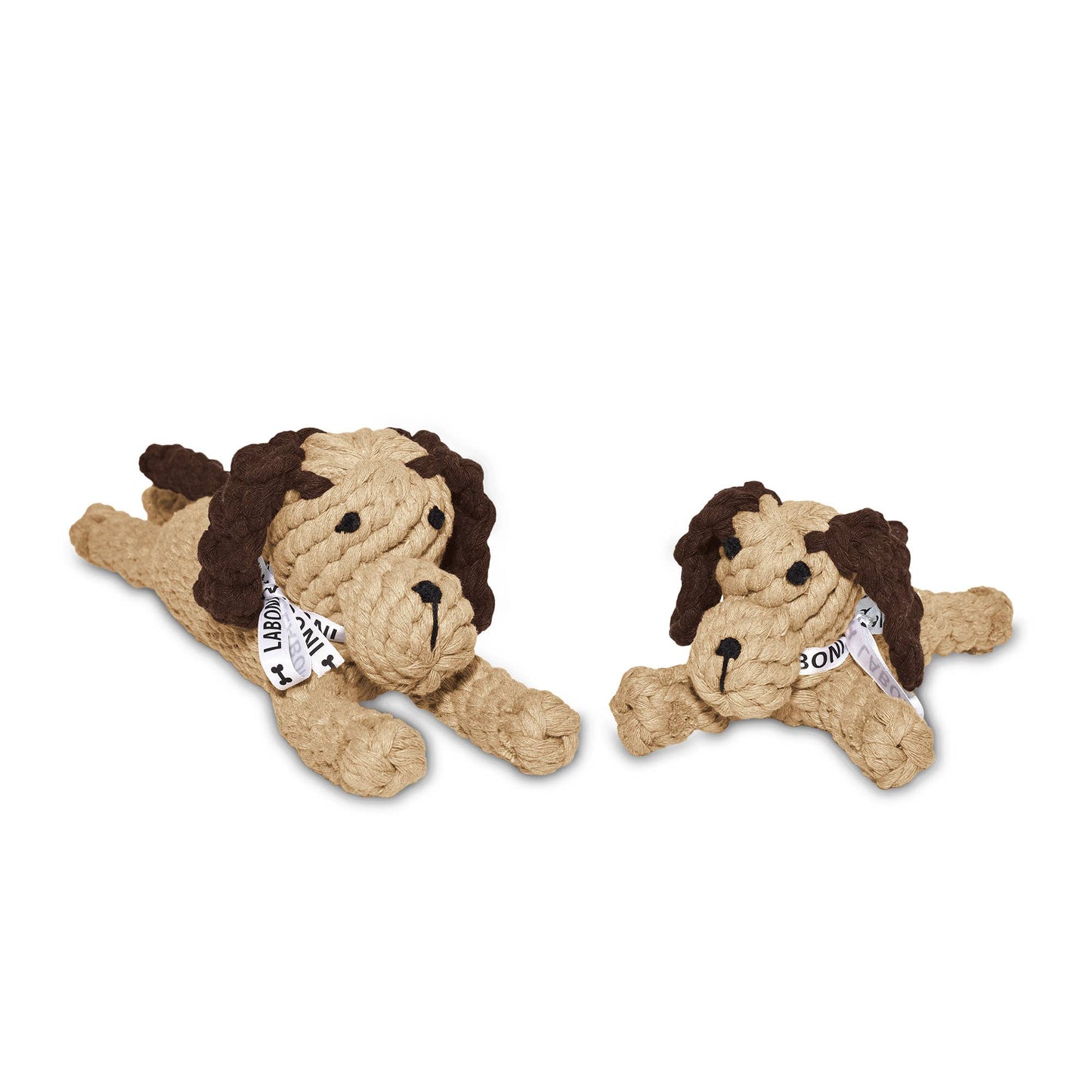 Chien en corde