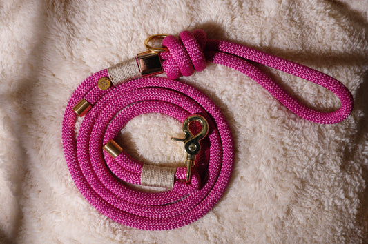 Laisse Fuchsia