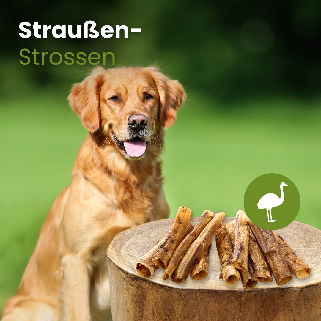 Trachees d'autruche naturelles pour chiens sans conservateurs