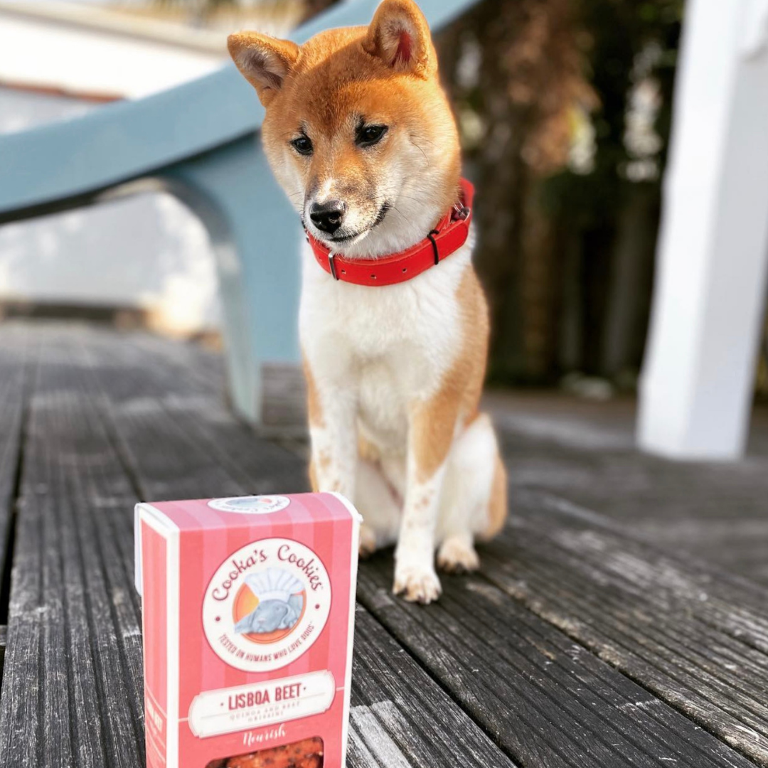 Lisboa Beet - Friandises Naturelles pour Chiens avec Superaliments