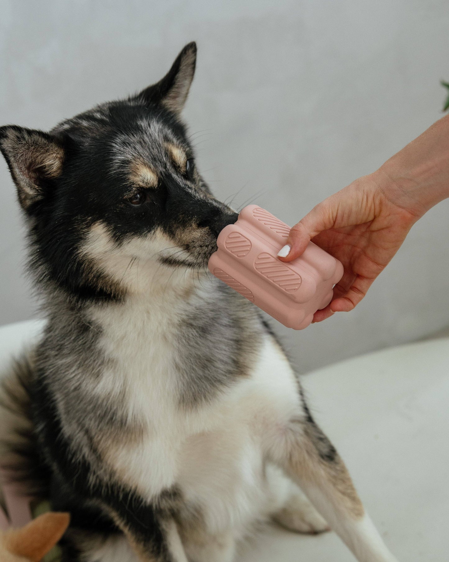 Jouet de dentition rose blush