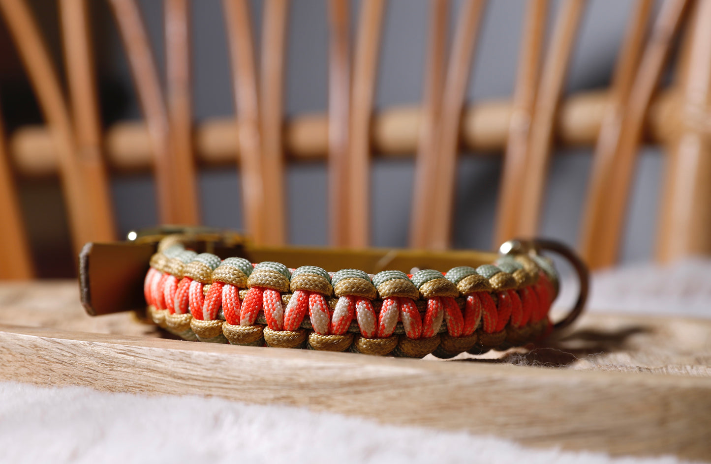 Collier biothane-paracorde