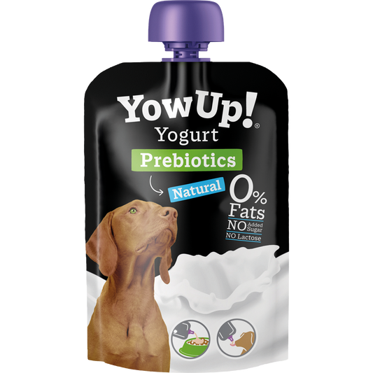 YowUp! Yaourt naturel pour chiens avec prébiotiques