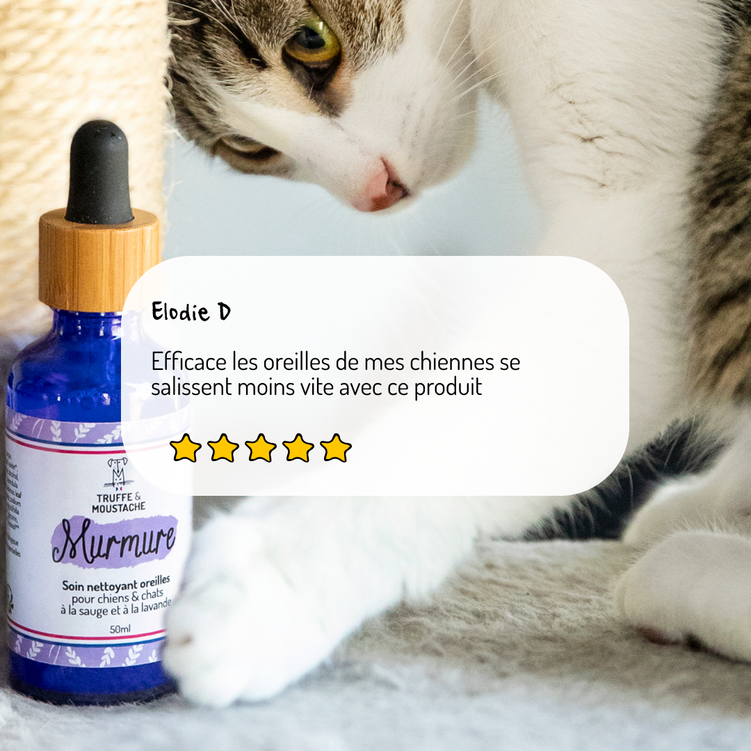 Soin Nettoyant oreilles pour chien & chat, "Murmure"
