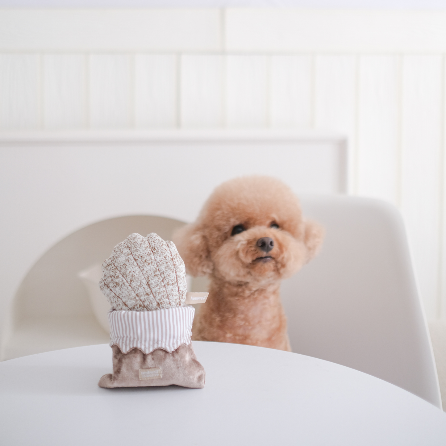 JOUET POUR CHIEN PETITE TWO/ENRICHMENT