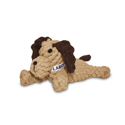 Chien en corde
