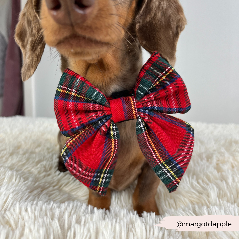 Nœud papillon Tartan Sailor