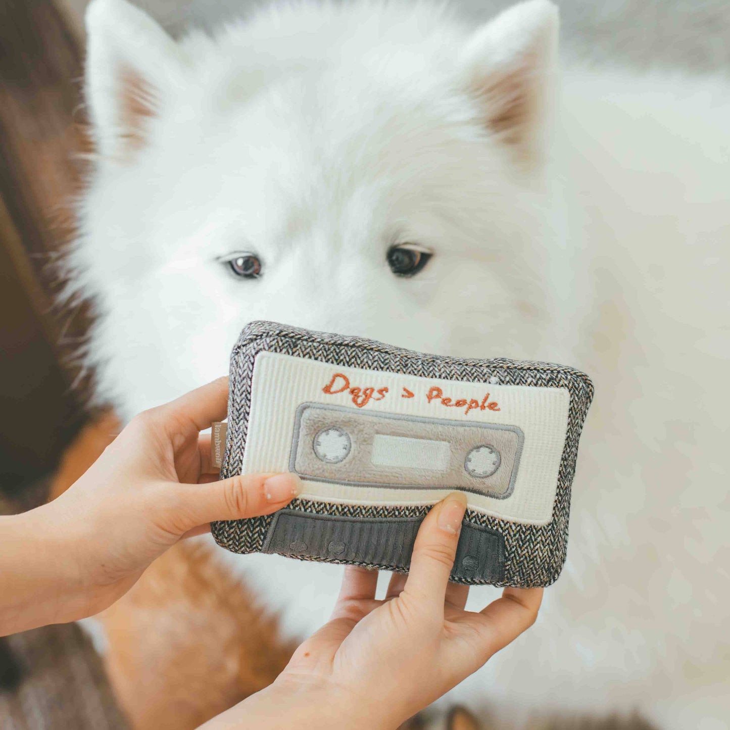 Peluche CASSETTE