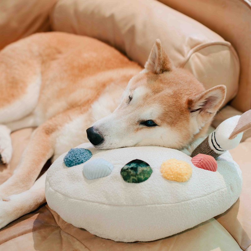 Ensemble Palette de Couleurs – Jouet d’enrichissement pour chien