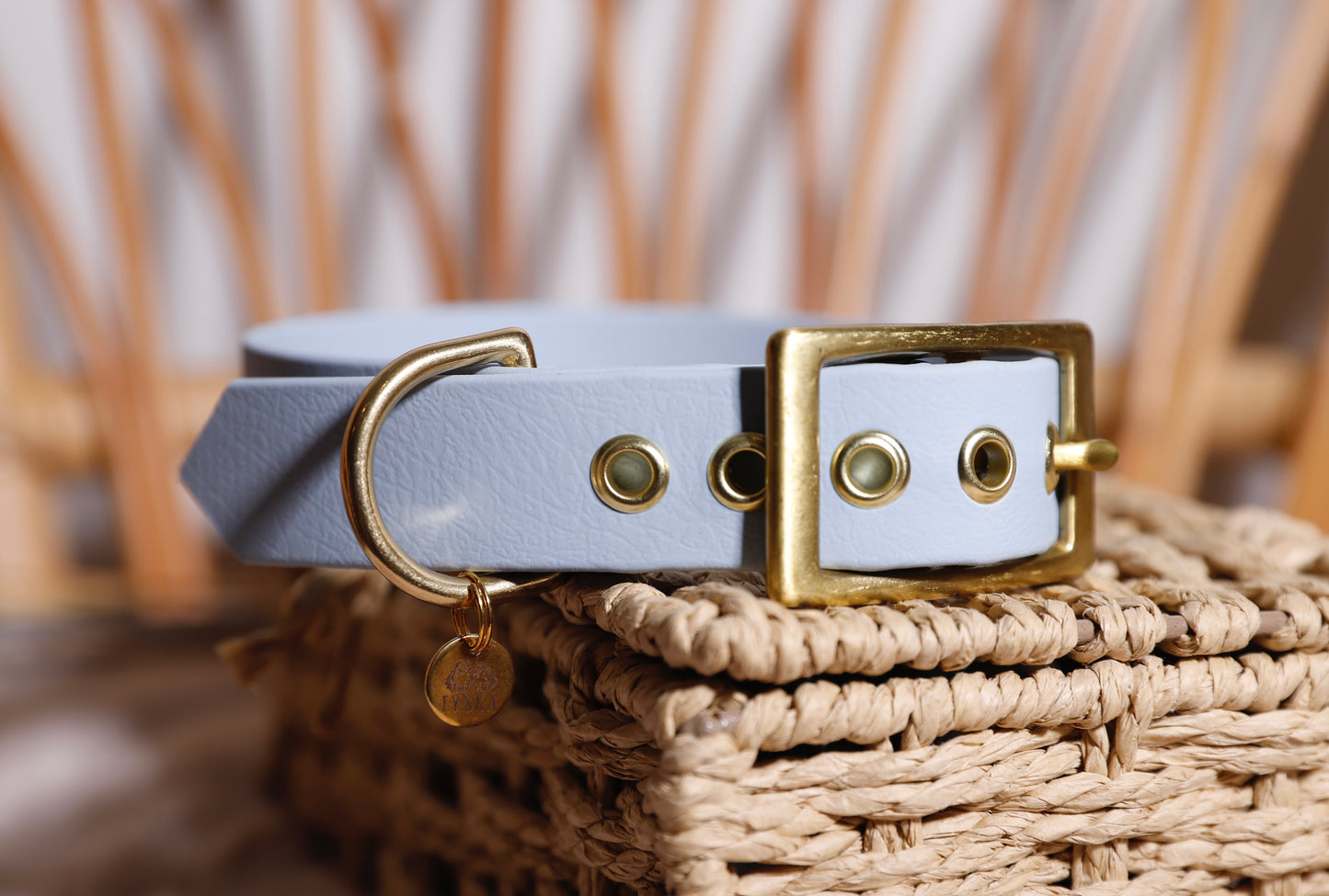 Collier Biothane - Différents coloris