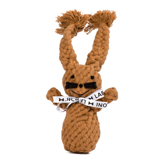 Lapin en corde