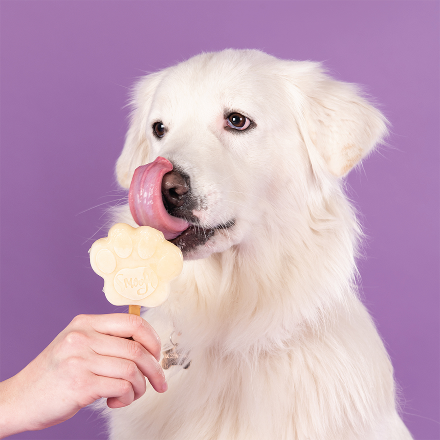 Mélange banane pour glace à chien
