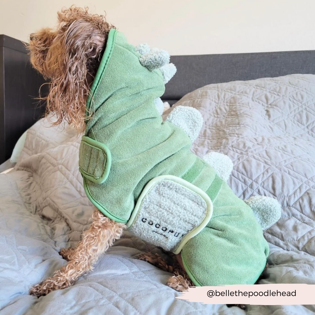 Peignoir de séchage Dinopup