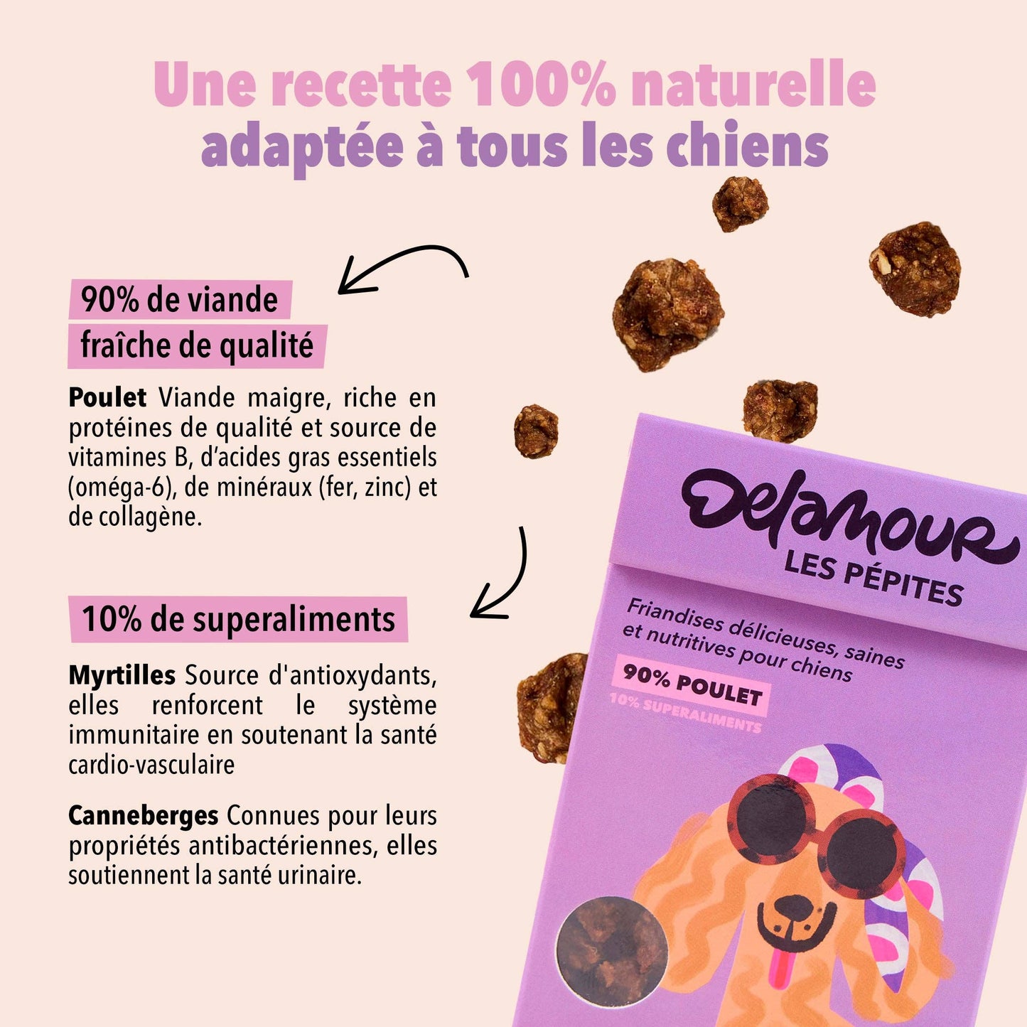 Les Pépites, format nomade - Poulet (75g)