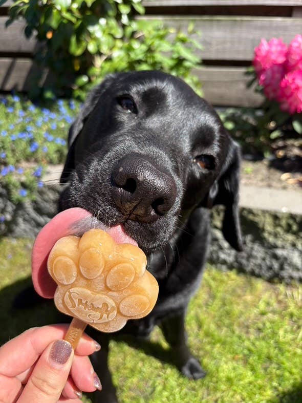 Mélange beurre de cacahuète pour glaces pour chiens