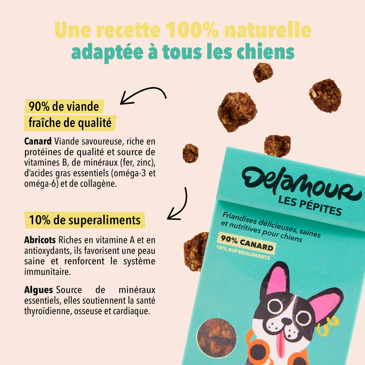 Les Pépites, format nomade - Canard (75g)
