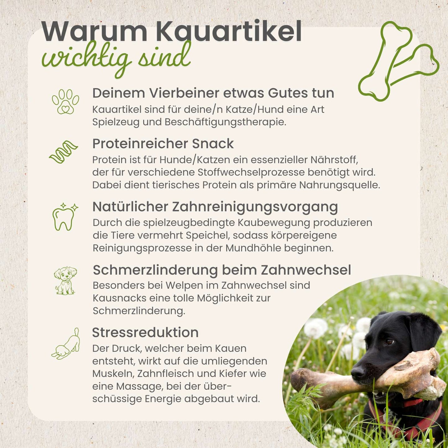 Cubes de poulet naturels pour chiens
