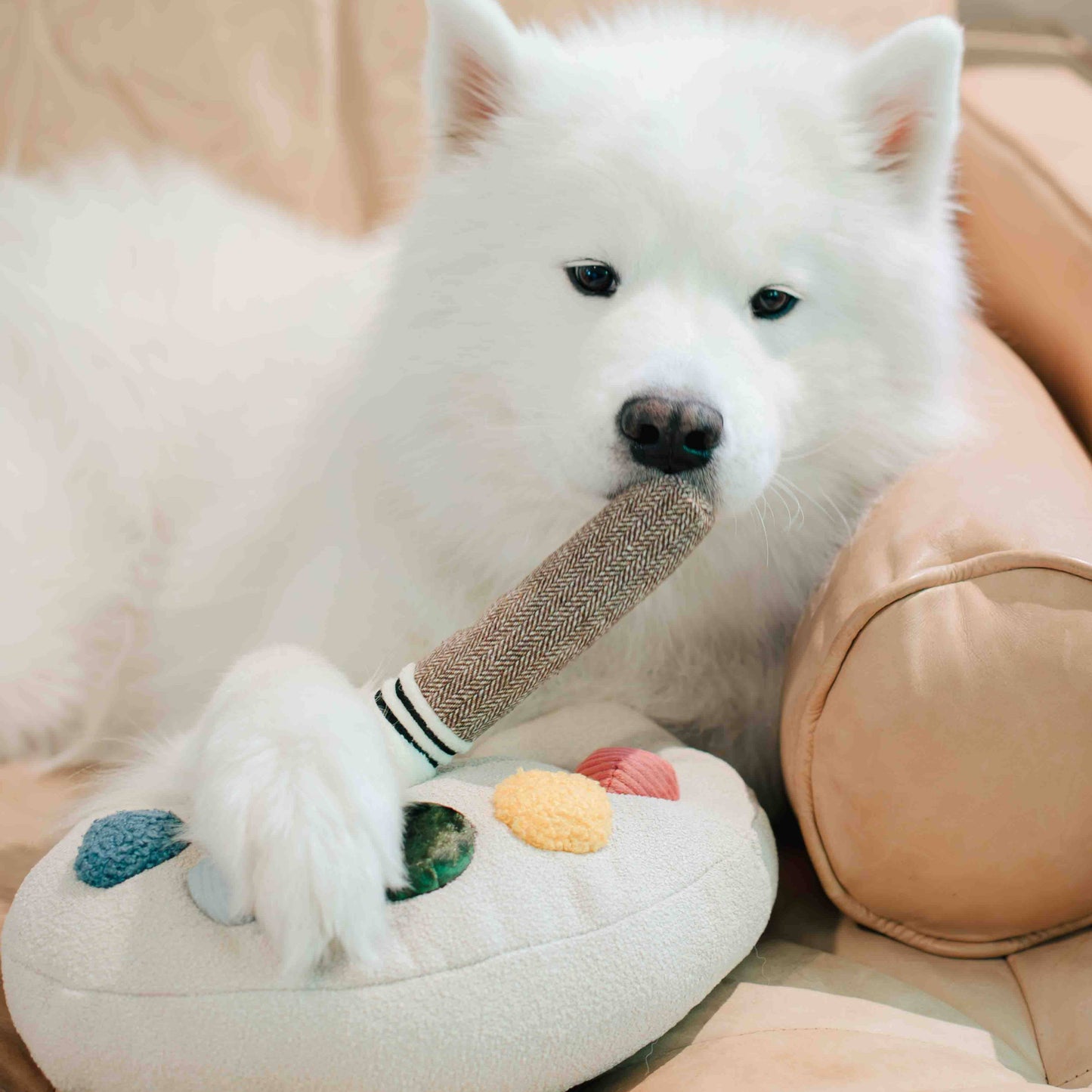 Ensemble Palette de Couleurs – Jouet d’enrichissement pour chien