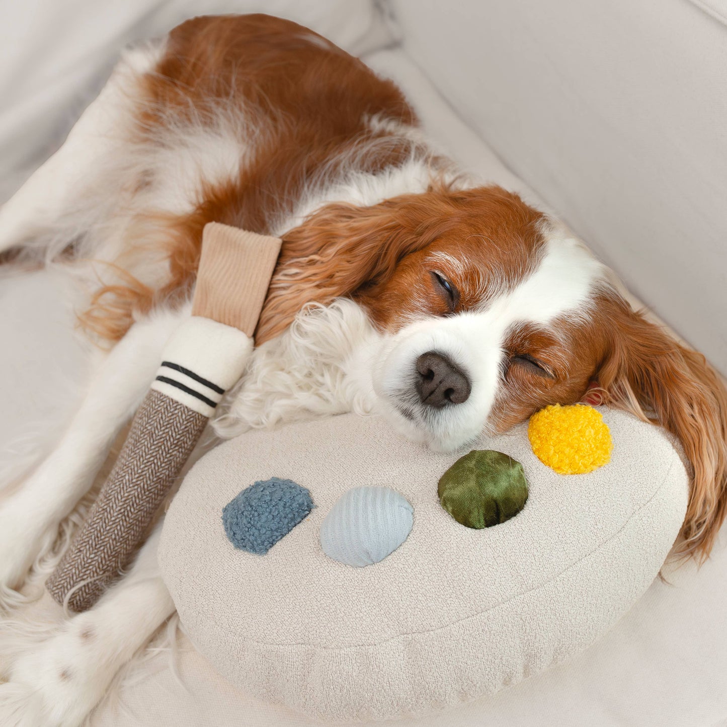 Ensemble Palette de Couleurs – Jouet d’enrichissement pour chien