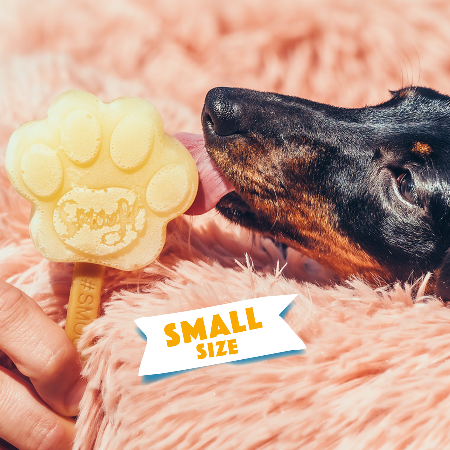 Petit moule en silicone pour glaçons en forme de patte de chien