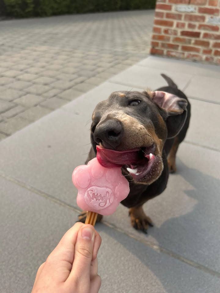 Mélange fraise pour glace à chien