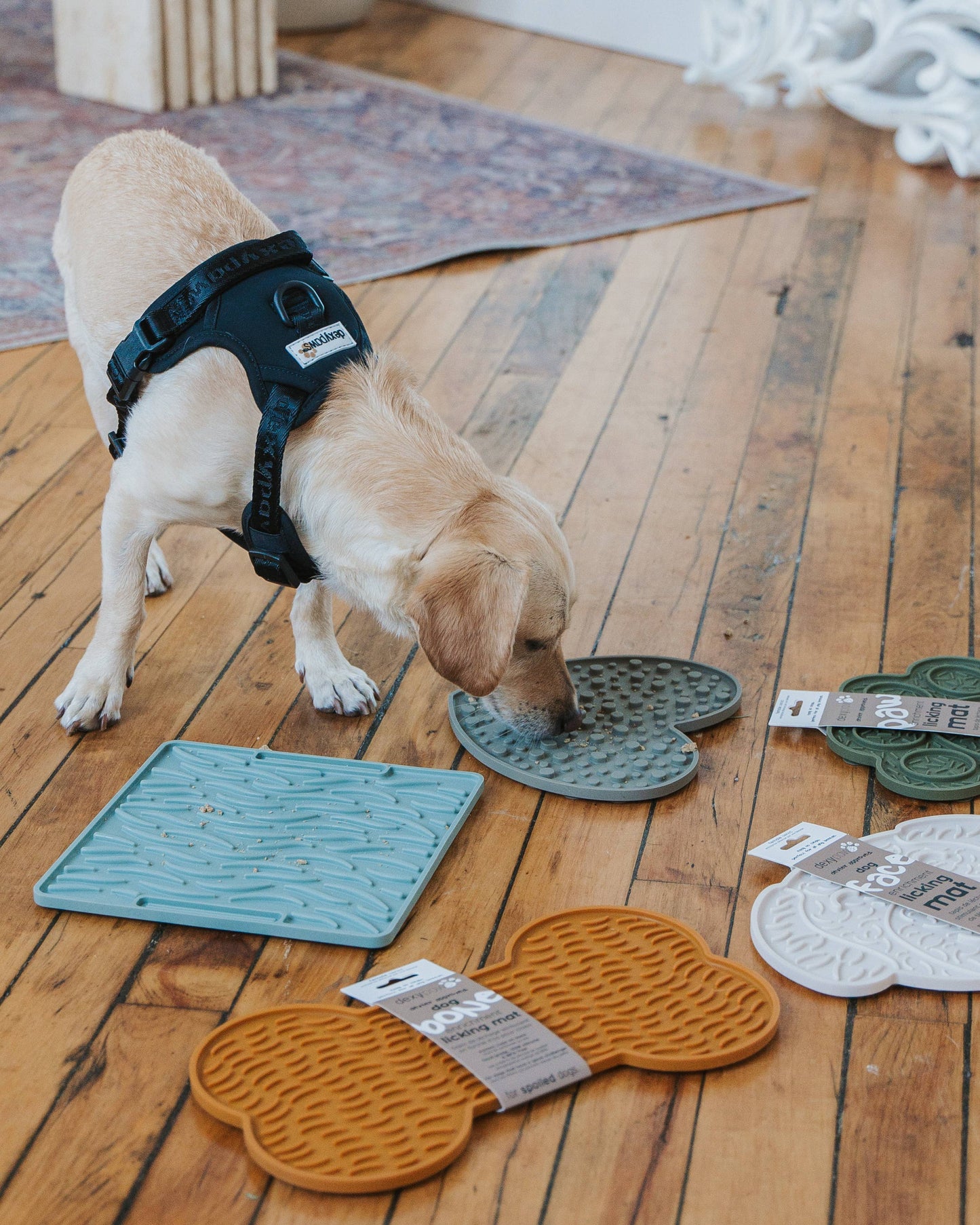 Tapis de léchage en forme de cœur pour enrichissement