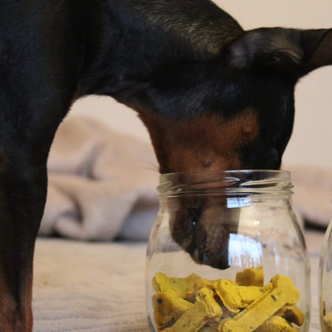 Sintra Bliss - Friandises naturelles pour chiens aux superaliments