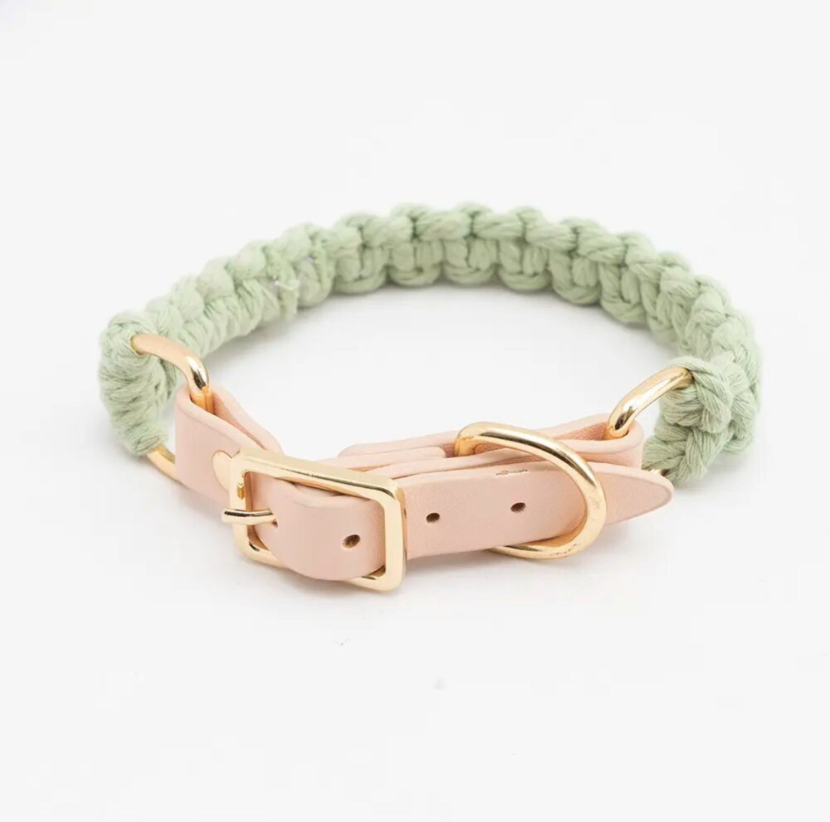 Ensemble laisse et collier
